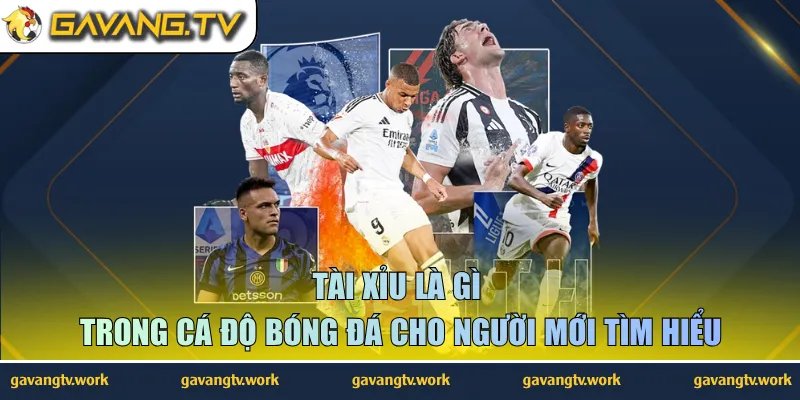 tài xỉu là gì